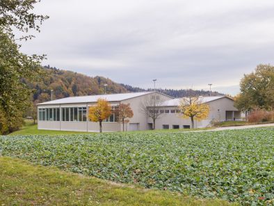 Sanierung Turnhalle Hofstätten Roggwil